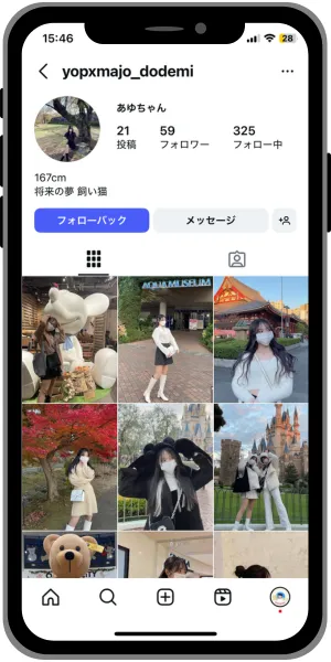 snstomoのフォロワー例